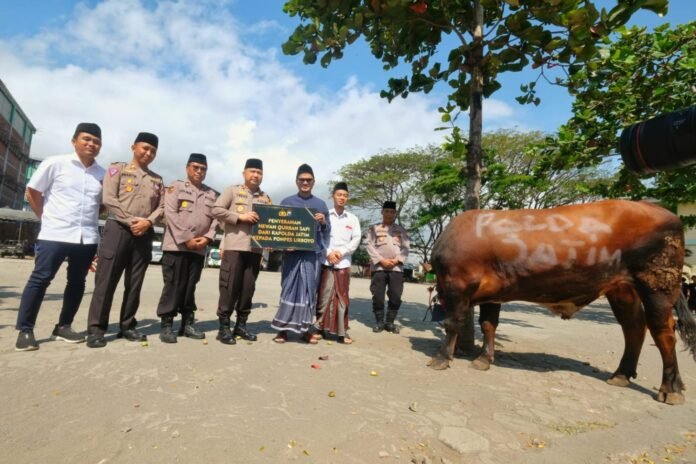 IMG-20230629-WA0003-1536x1025