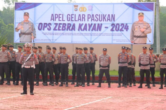 WhatsApp Image 2024-10-14 at 12.53.07