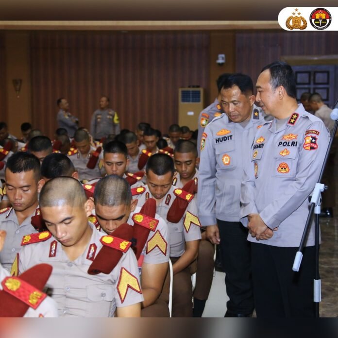 WhatsApp Image 2025-01-07 at 17.29.32