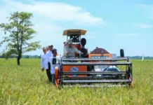 Presiden Prabowo Pimpin Panen Raya Nasional di Majalengka, Serentak di 14 Provinsi