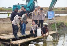 Polda Metro Jaya Tebar 37 Ribu Benih Ikan di Muara Gembong, Dukung Ketahanan Pangan